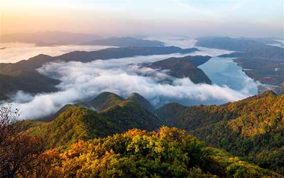 南投轻旅行~清境、合欢山~摘星花园山庄